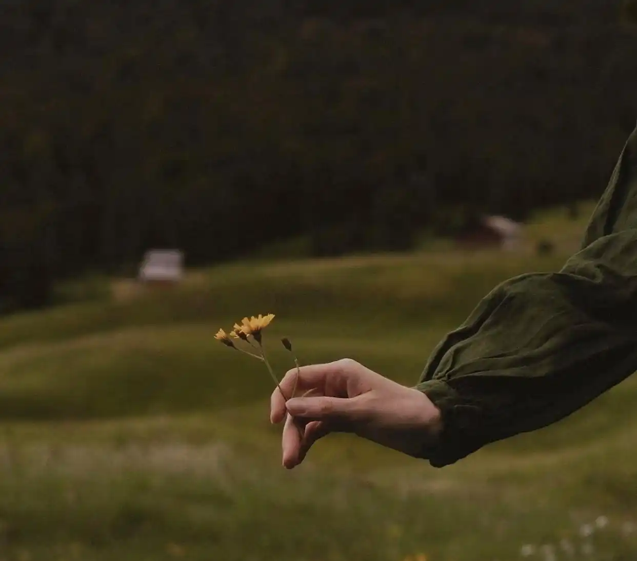 对老婆和外面都好的男人，究竟在盘算什么？__对老婆和外面都好的男人	，究竟在盘算什么？