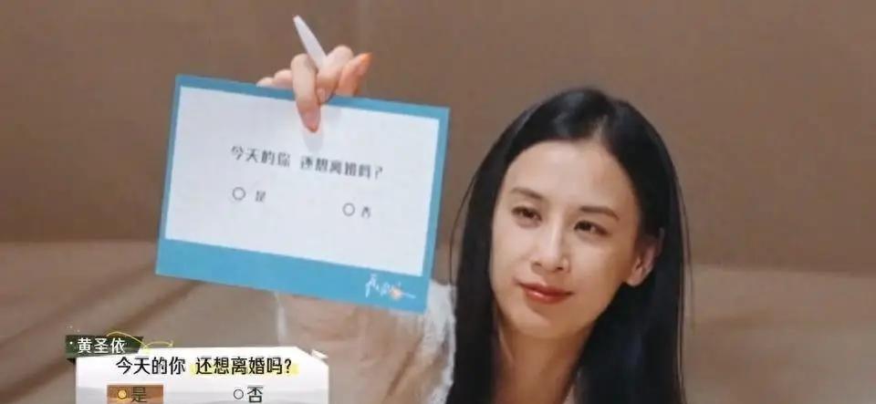 再见爱人 4黄圣依加盟，婚姻事业受杨子控制，想离婚已三年