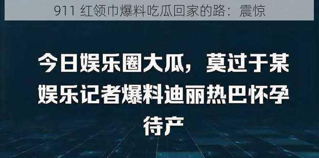 911 红领巾爆料吃瓜回家的路，揭秘事件背后的惊人阴谋