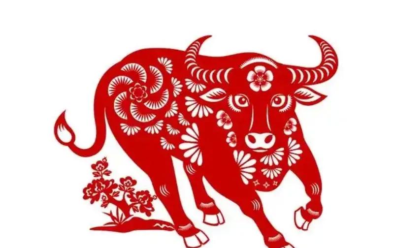 属牛男人适合的职业选择：农业、畜牧业与制造业的成功之路