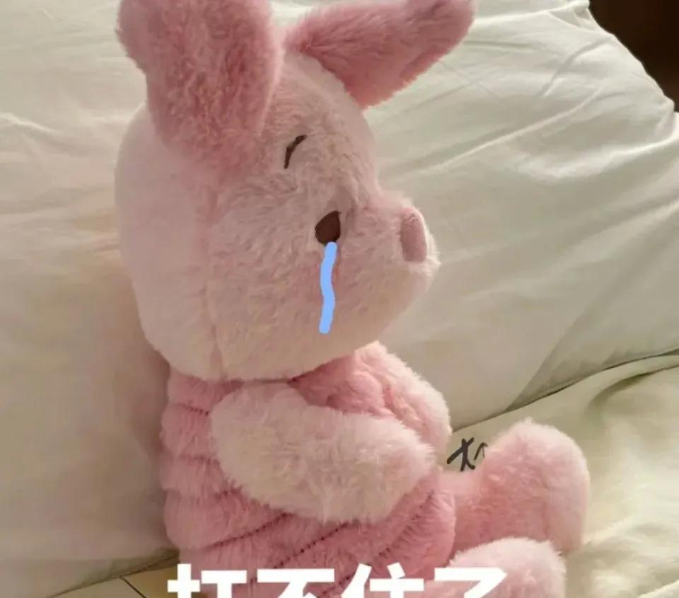 女网红发小作文锤童锦程，原因竟是这个