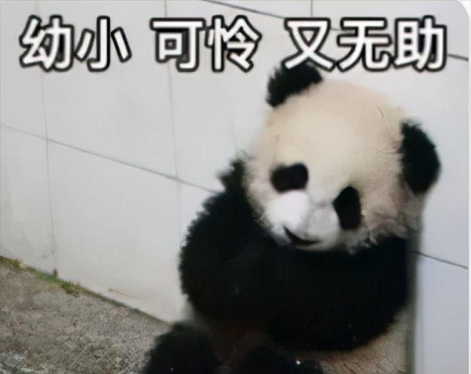 黑料社吃瓜爆料_黑料社吃瓜爆料_黑料社吃瓜爆料