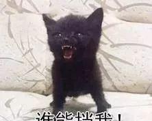 2018 娱乐圈吃瓜年终期末考（全国卷），检验你的吃瓜能力