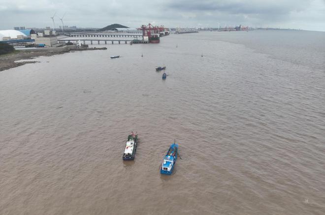捞不完真的捞不完	，浙江一发电厂遭遇“海蜇危机”，网友提出“吃货	”建议，专家给出分析_捞不完真的捞不完	，浙江一发电厂遭遇“海蜇危机”，网友提出“吃货”建议，专家给出分析_