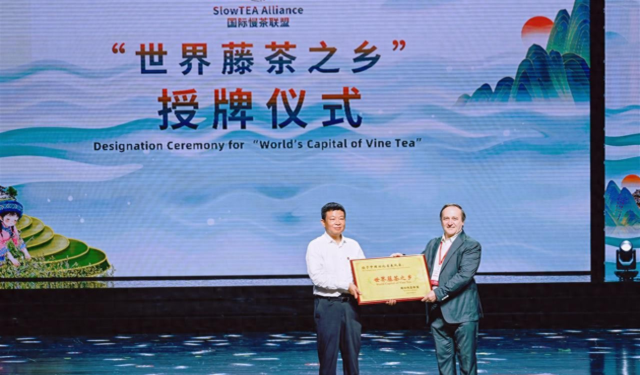 瓜瓜吃瓜：8 月 1 日第三届来凤国际藤茶大会开幕，获世界藤茶之乡称号