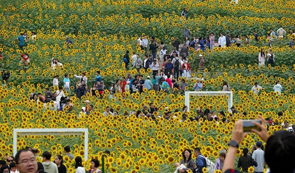 51吃瓜视频：国庆中秋假期过半，同程报告显示人们假期旅行特征及热门航线