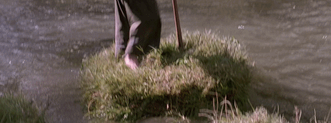 _周韵：知止，以及静水流深_周韵：知止，以及静水流深