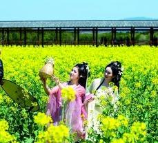 黑料：武夷山国家公园：一片树叶旅程折射的传承与创新