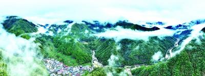_茶山上，一场生态变革悄然展开_茶山上	，一场生态变革悄然展开