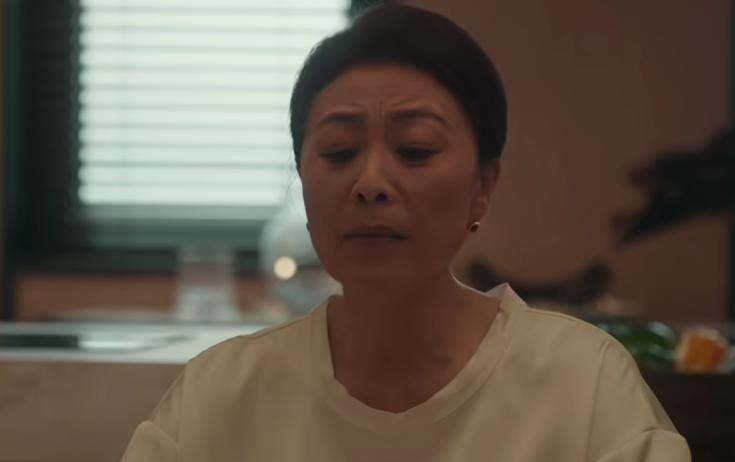 蒋欣演的都市电视剧_热播电视剧蒋欣_