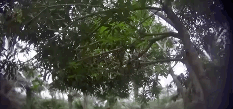 祭祀恐怖电影在线观看_祭祀纪录片_