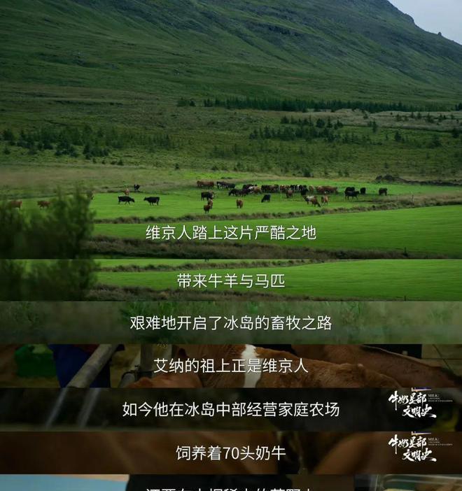当我在追《牛奶是部文明史》	，更懂特仑苏的格局从何而来__当我在追《牛奶是部文明史》，更懂特仑苏的格局从何而来