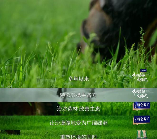 _当我在追《牛奶是部文明史》	，更懂特仑苏的格局从何而来_当我在追《牛奶是部文明史》，更懂特仑苏的格局从何而来